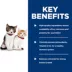 Hill's® Science Diet® Kitten Wet Cat Food - Entree, 5.5 oz image thumbnail 6