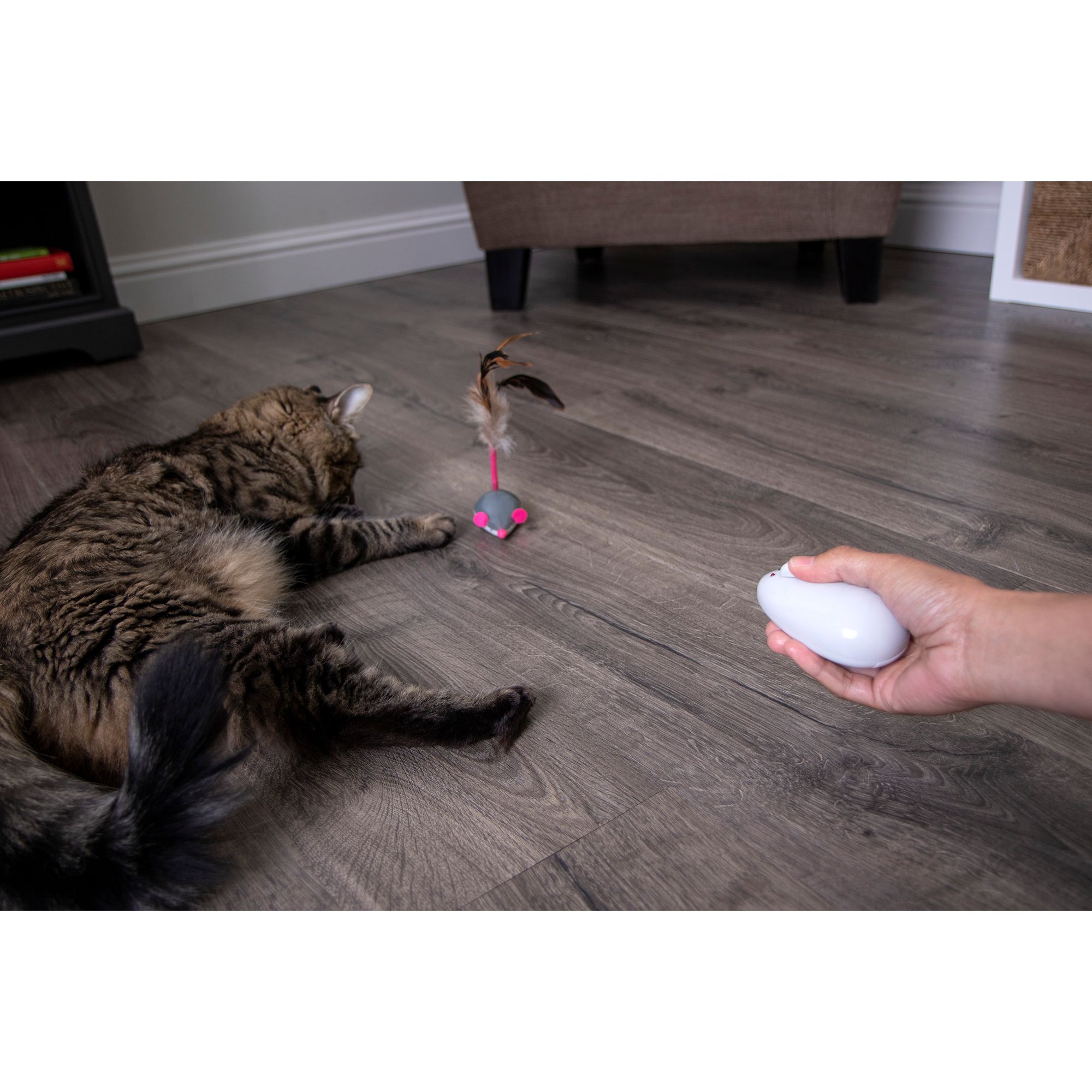 remote control mouse cat toy petsmart