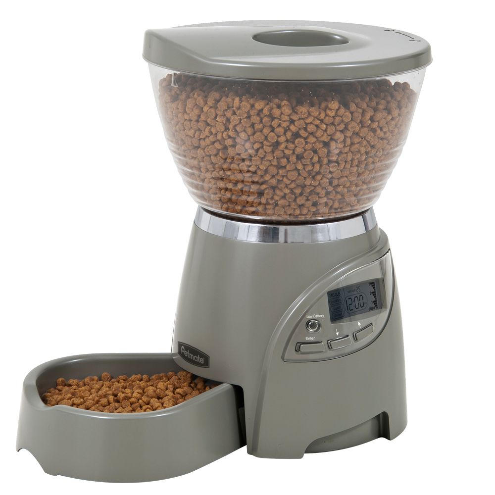 automatic dog feeder near me