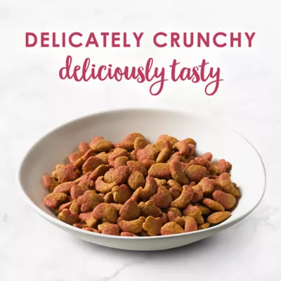 Product Fancy Feast®  All Life Stages Cat Dry Food - , With Vitamins