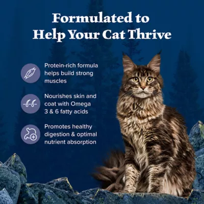 Product Blue Buffalo Wilderness  Adult Dry Cat Food - Grain Free, Chicken