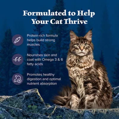 Product Blue Buffalo Wilderness  Adult Dry Cat Food - Grain Free, Chicken