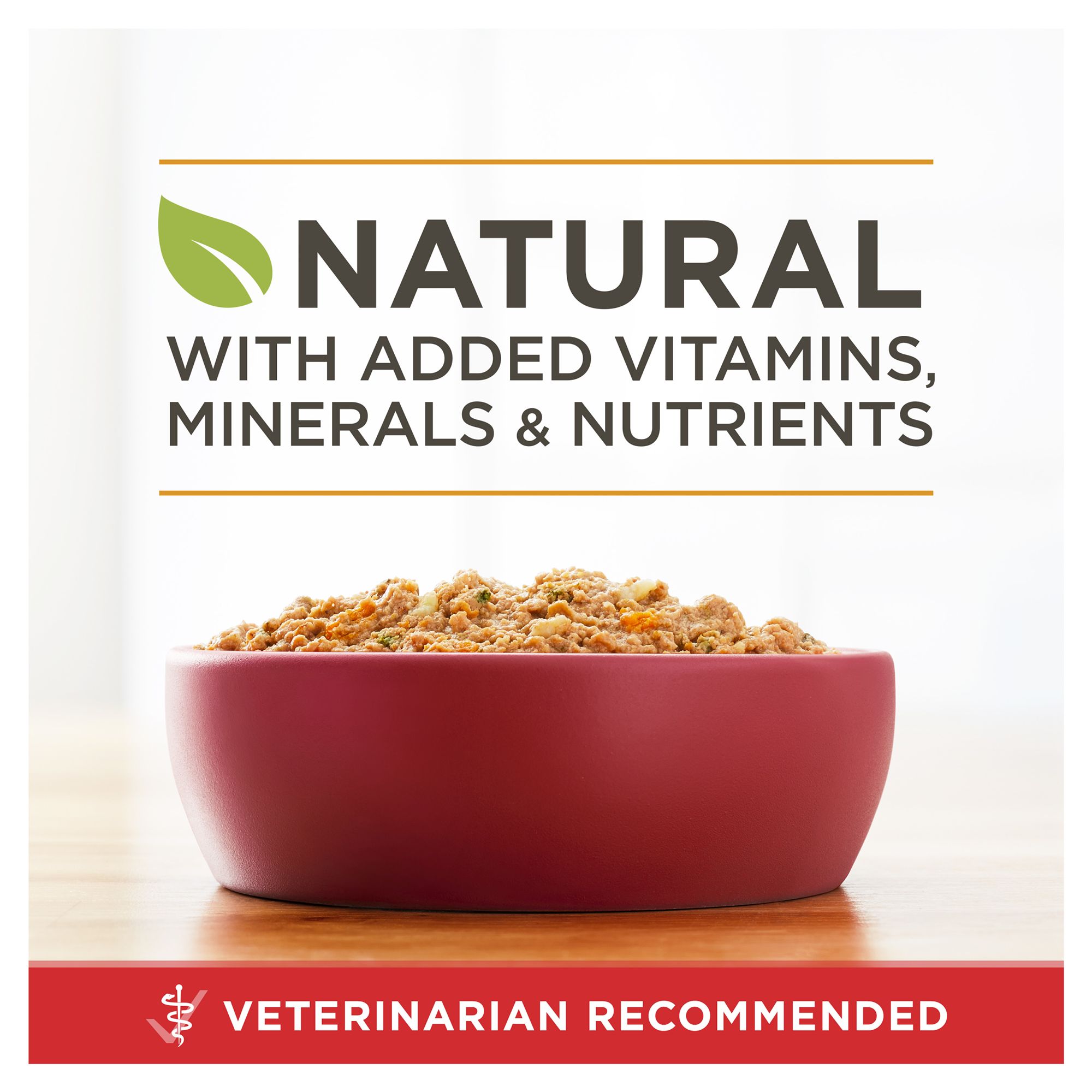 purina one smartblend wet dog food