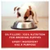 Purina ONE® SmartBlend Everyday Nutrition Puppy Wet Dog Food - 14.83 oz., Natural image thumbnail 7