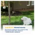 PetSafe® Outdoor Ultrasonic Bark Control - Up to 1/4 Acre 50 ft Coverage - Weatherproof image thumbnail 4