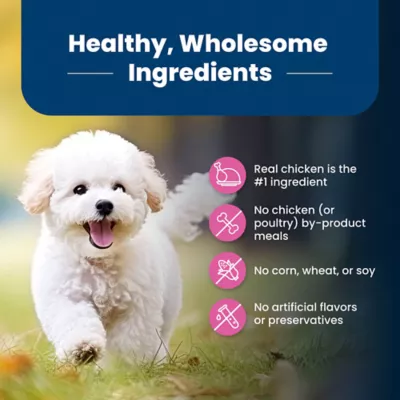 Blue Buffalo® Life Protection Formula™ Small Breed Adult Dry Dog Food - Chicken & Brown Rice - Image 6