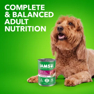 Product IAMS™ Proactive Health Adult Wet Dog Food - Chunks in Gravy, 13 OZ