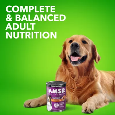 IAMS Proactive Health Senior Wet Dog Food Pate 13 OZ