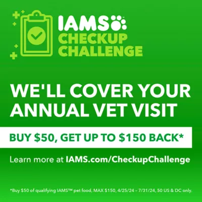 Product IAMS™ Proactive Health Senior Wet Dog Food - Pate, 13 OZ