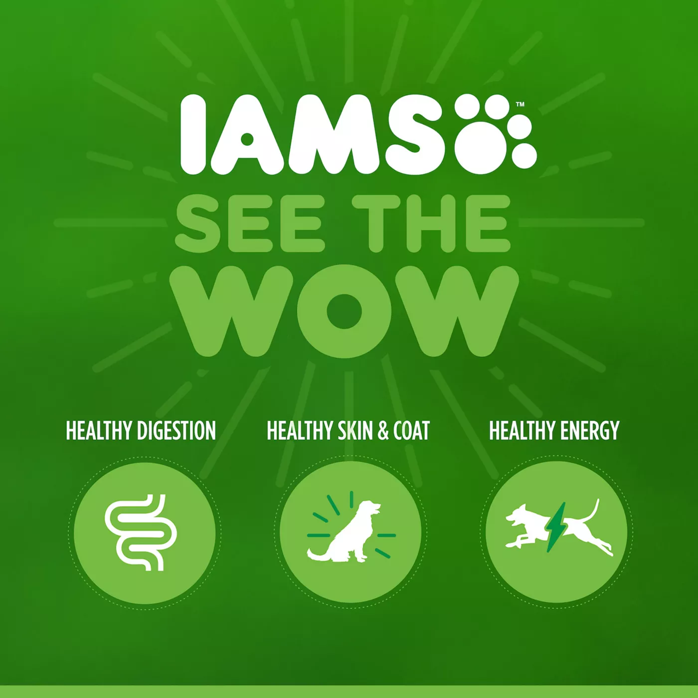 Iams dog food fashion for senior dogs