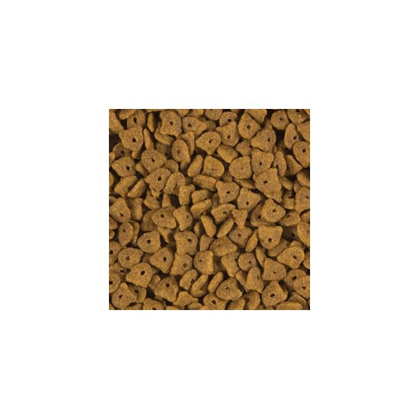 petsmart nutro max cat