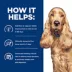Hill's® Prescription Diet® z/d Skin/Food Sensitivites Adult Dog Food - Chicken image thumbnail 7