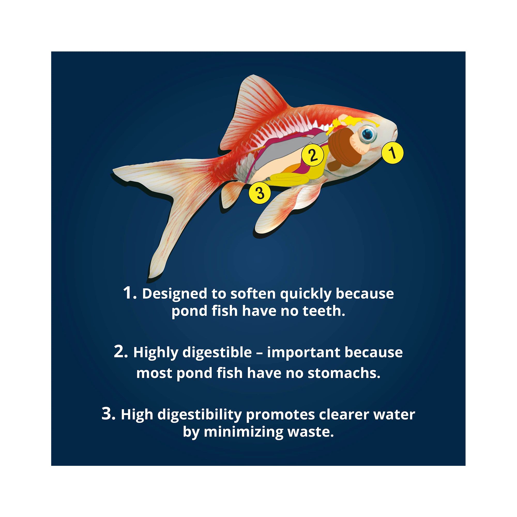 TetraPond Spring and Fall Fish Diet for Koi & Goldfish - thumbnail 8