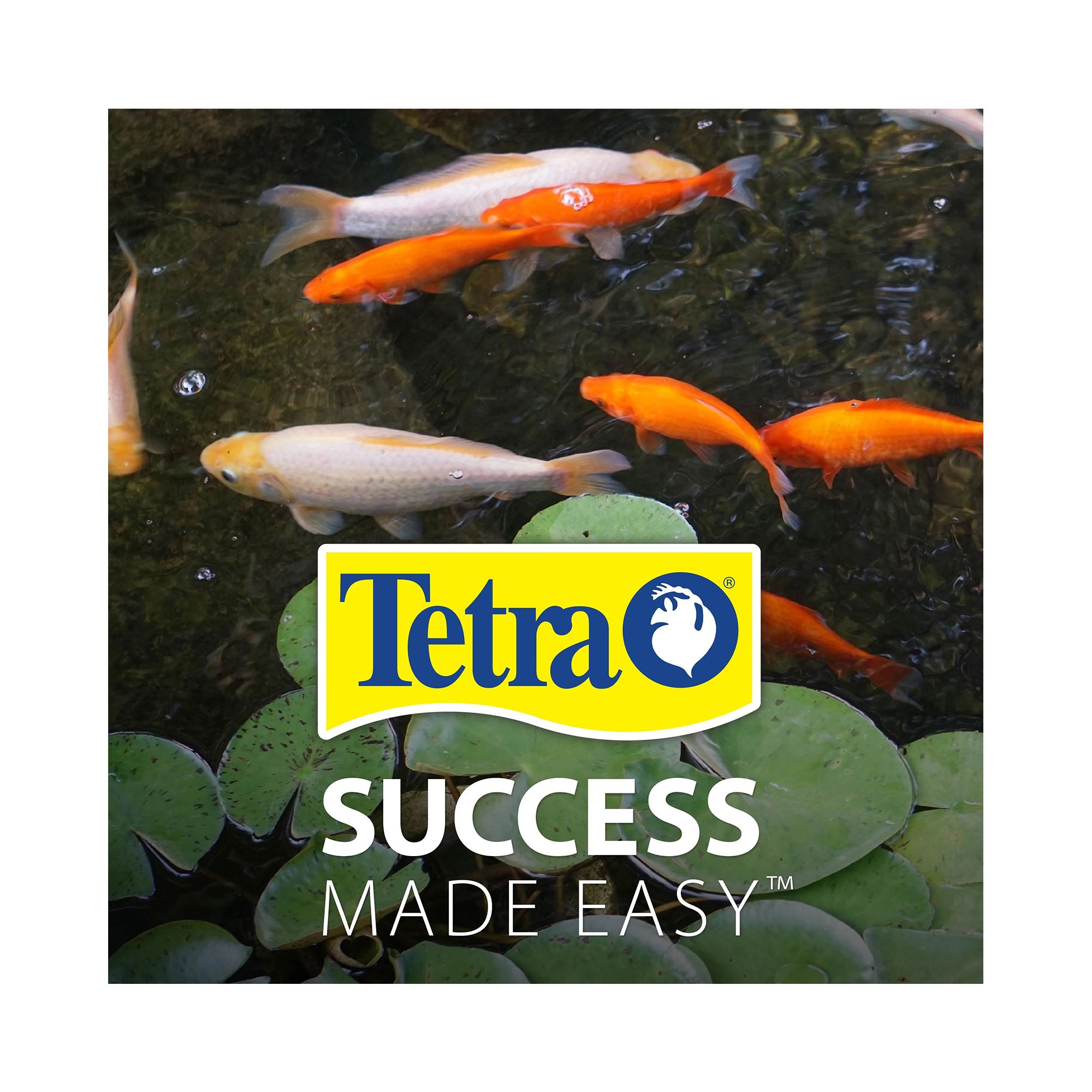 TetraPond Spring and Fall Fish Diet for Koi & Goldfish - thumbnail 10