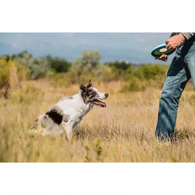 Product Chuckit!® Zipflight Dog Toy
