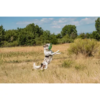 Product Chuckit!® Zipflight Dog Toy