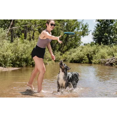 Product Chuckit!® Zipflight Dog Toy