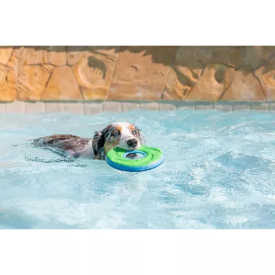 Product Chuckit!® Zipflight Dog Toy