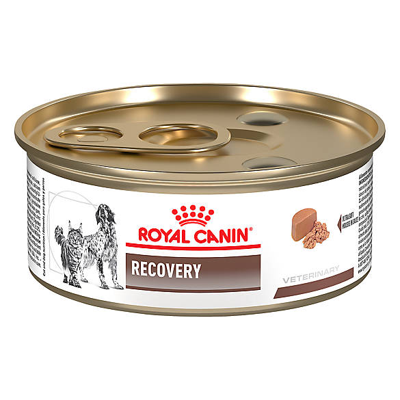 Royal Canin® Veterinary Diet Recovery RS Dog Food | dog Veterinary ...