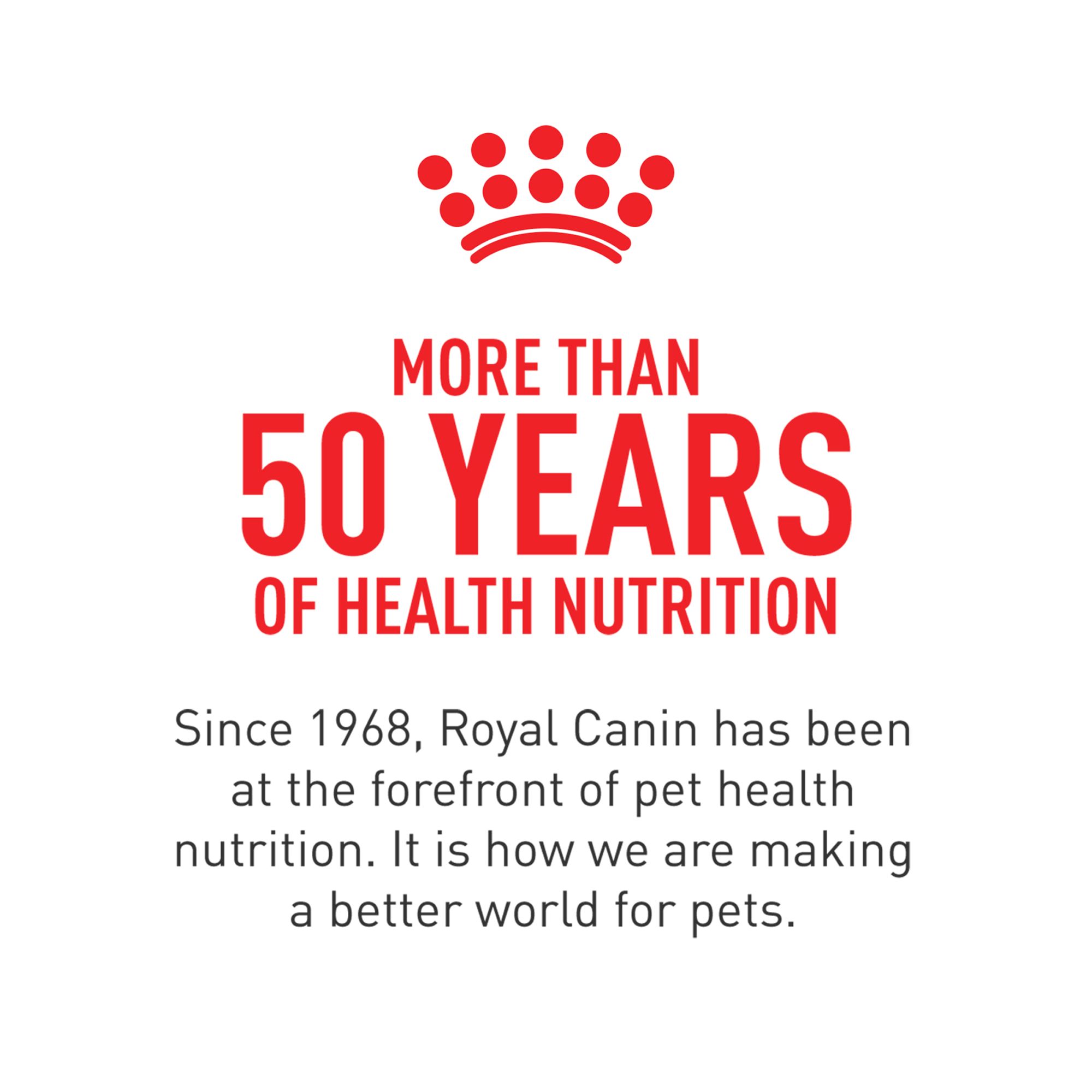 royal canin recovery dog food