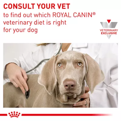 Product Royal Canin® Veterinary Diet Canine Gastrointestinal Adult Dog Loaf in Sauce Wet Food  13.5 oz can