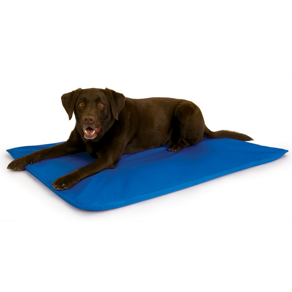cooling mattress for dogs