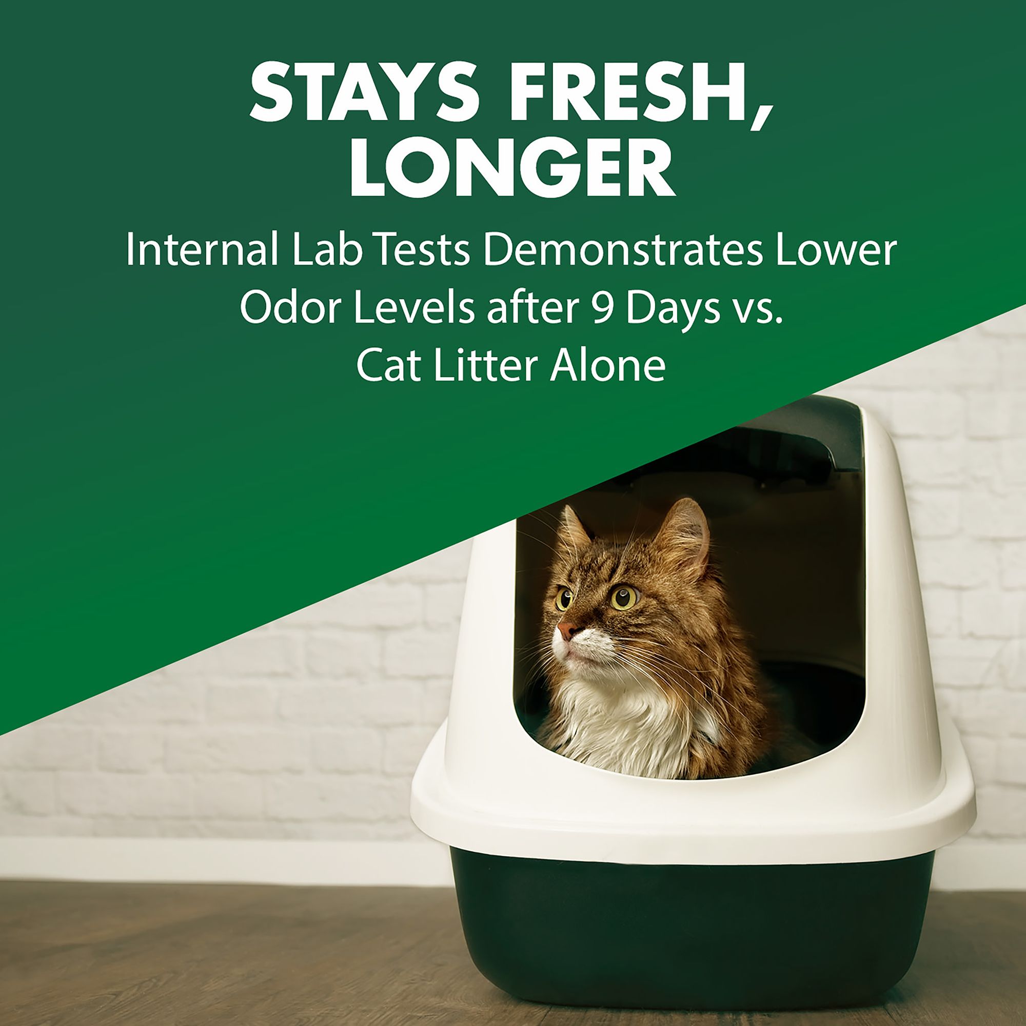 cat litter deodorizer spray