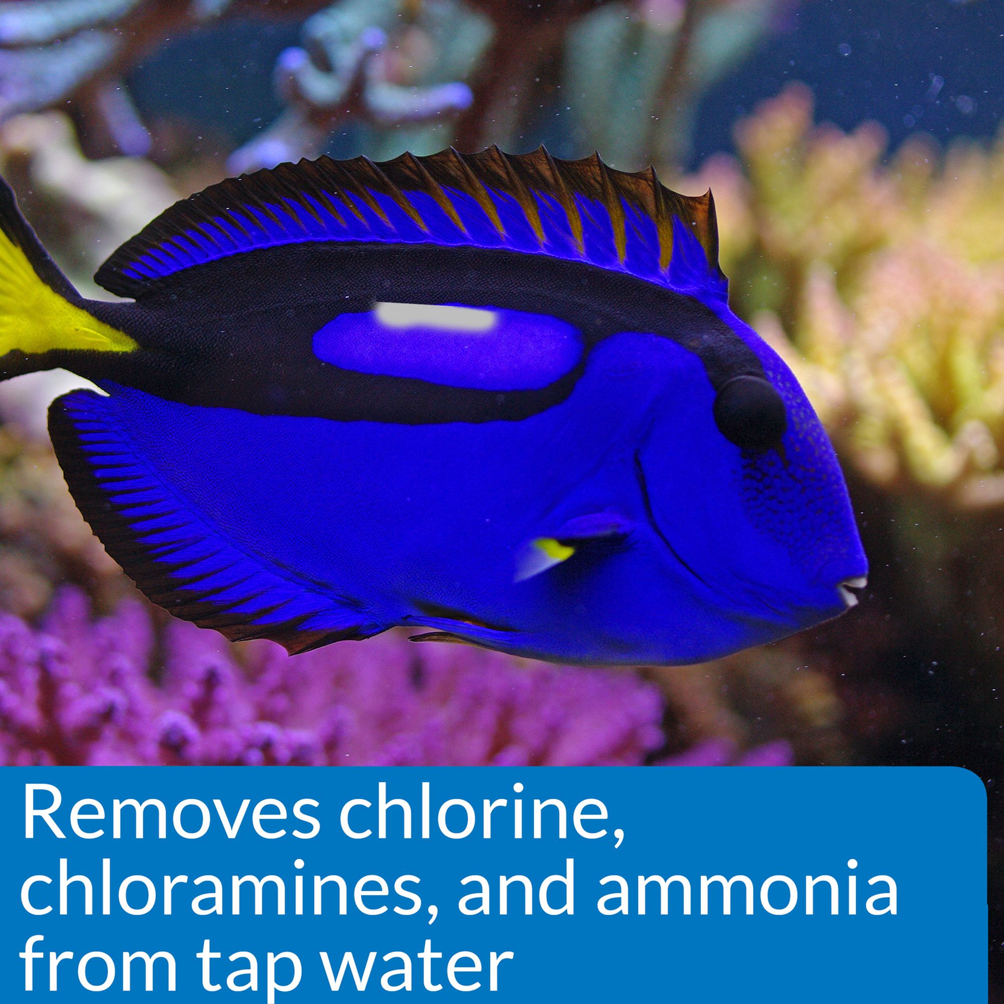 API® Marine Stress Coat for Saltwater Aquariums - thumbnail 3