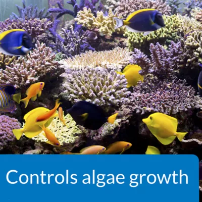 Product API® Algaefix Marine Aquarium Algaecide