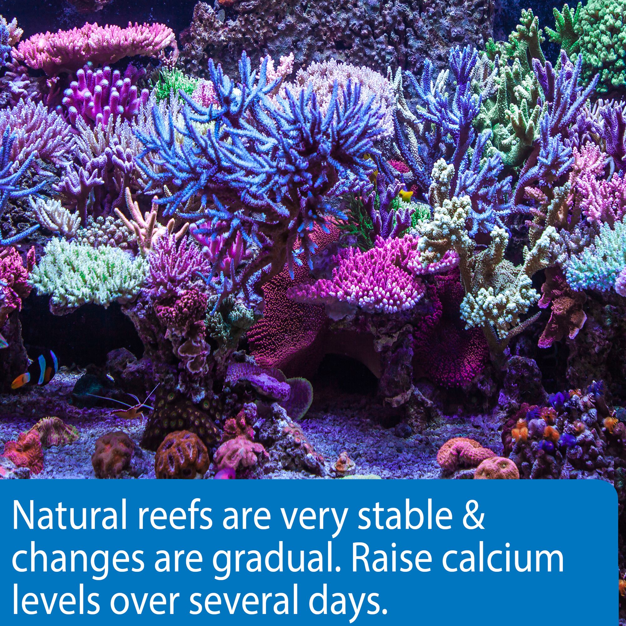 API® Marine Calcium - thumbnail 4