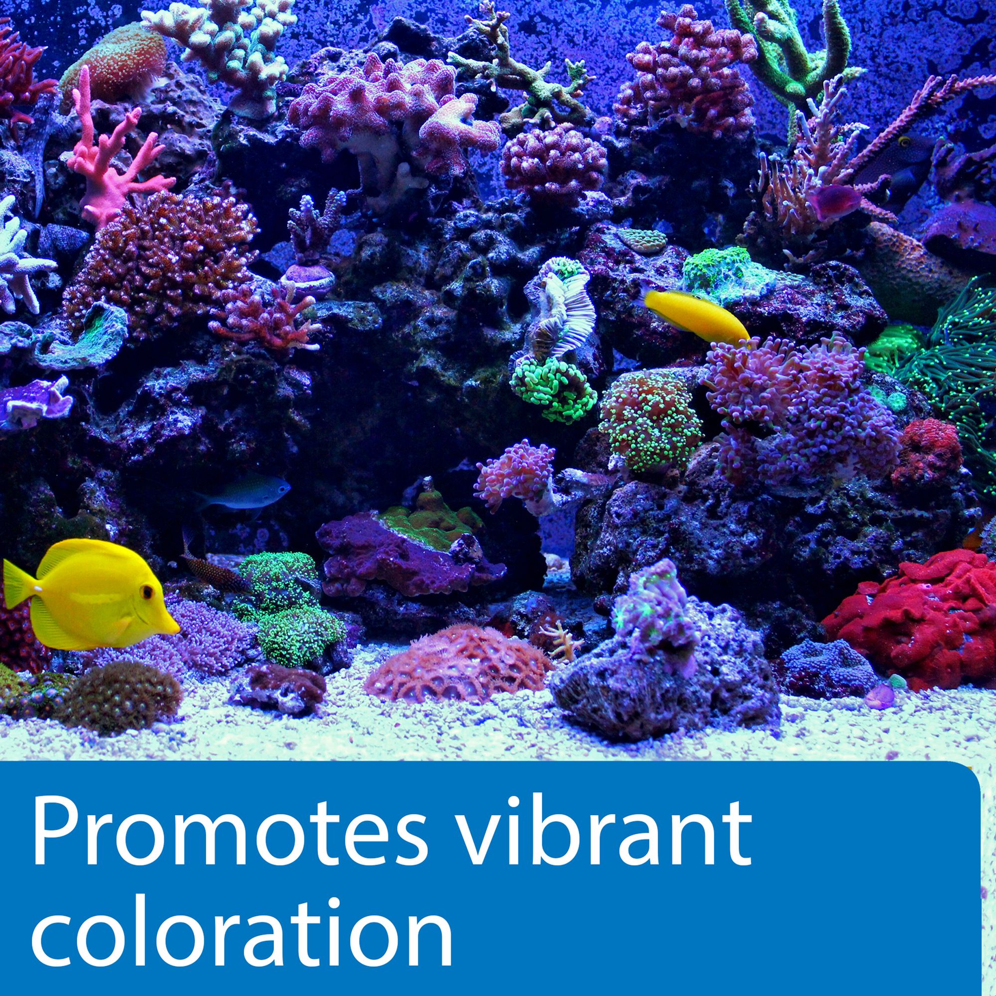 API® Marine Calcium - thumbnail 5
