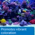 API® Marine Calcium image thumbnail 5