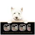 Cesar® Slices Adult Dog Food - New York Strip image thumbnail 2