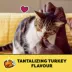 Temptations Adult Cat Treats - Tantalizing Turkey Flavour image thumbnail 3