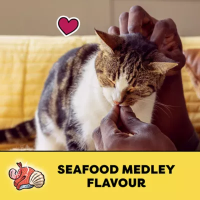 Product Temptations™ Adult Cat Treats - Seafood Medley Flavour