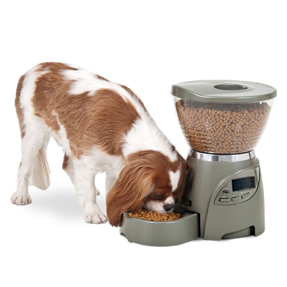 Petmate Le Bistro Portion Control Pet Feeder Dog Automatic