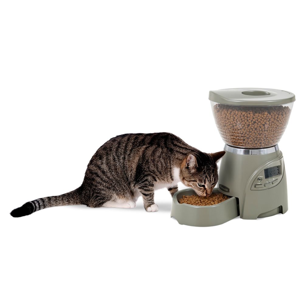 portion control pet feeder