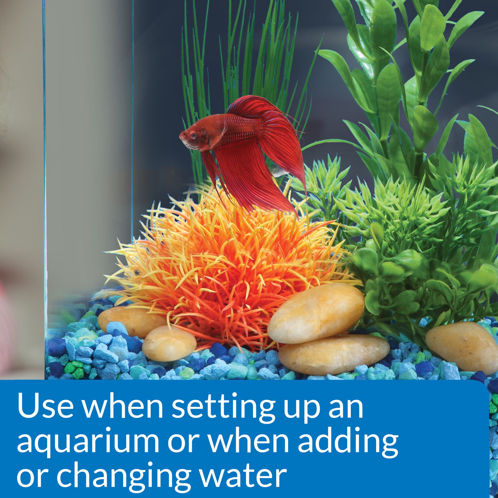 API® Betta Aquarium Water Conditioner for Betta Fish Tanks - thumbnail 2