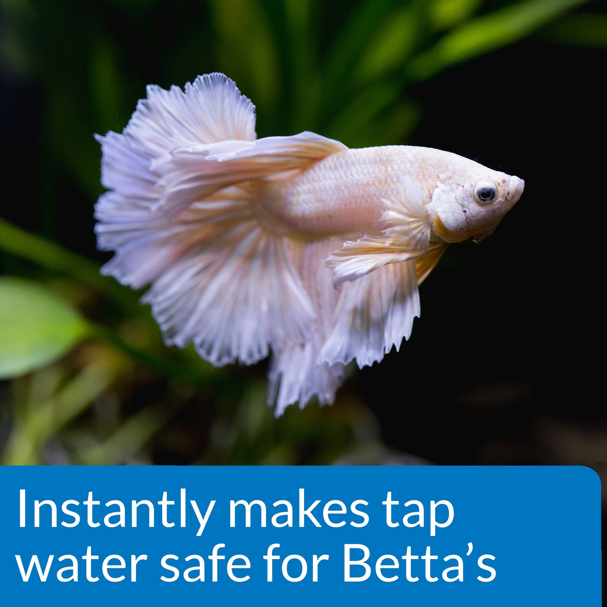 Api Betta Aquarium Water Conditioner Fish Water Care Conditioning Petsmart