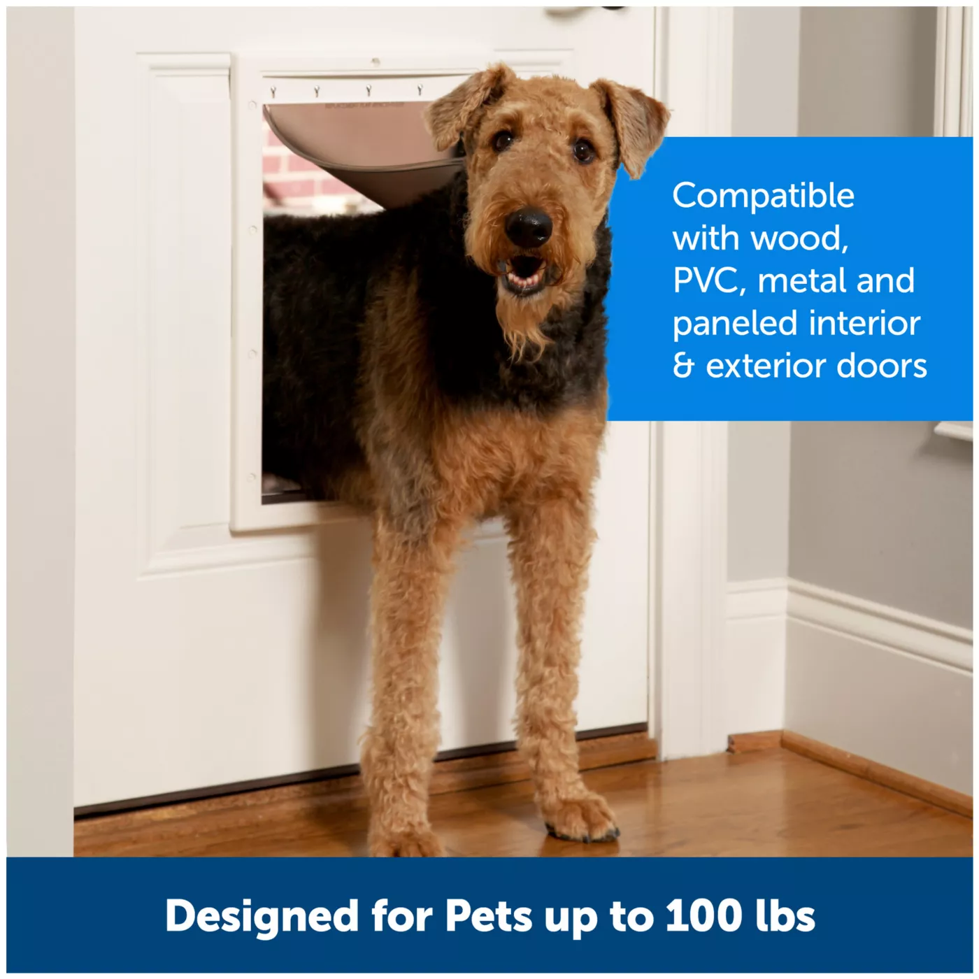 Dog door for regular door best sale