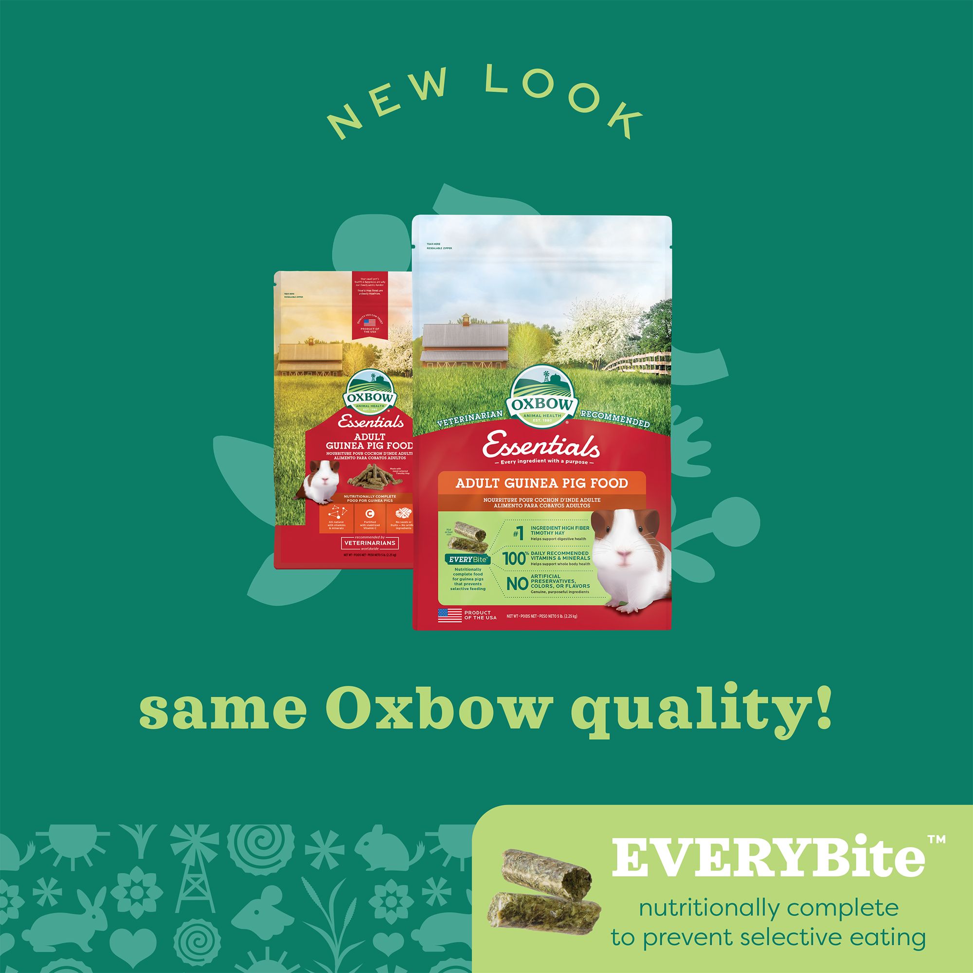 oxbow adult guinea pig