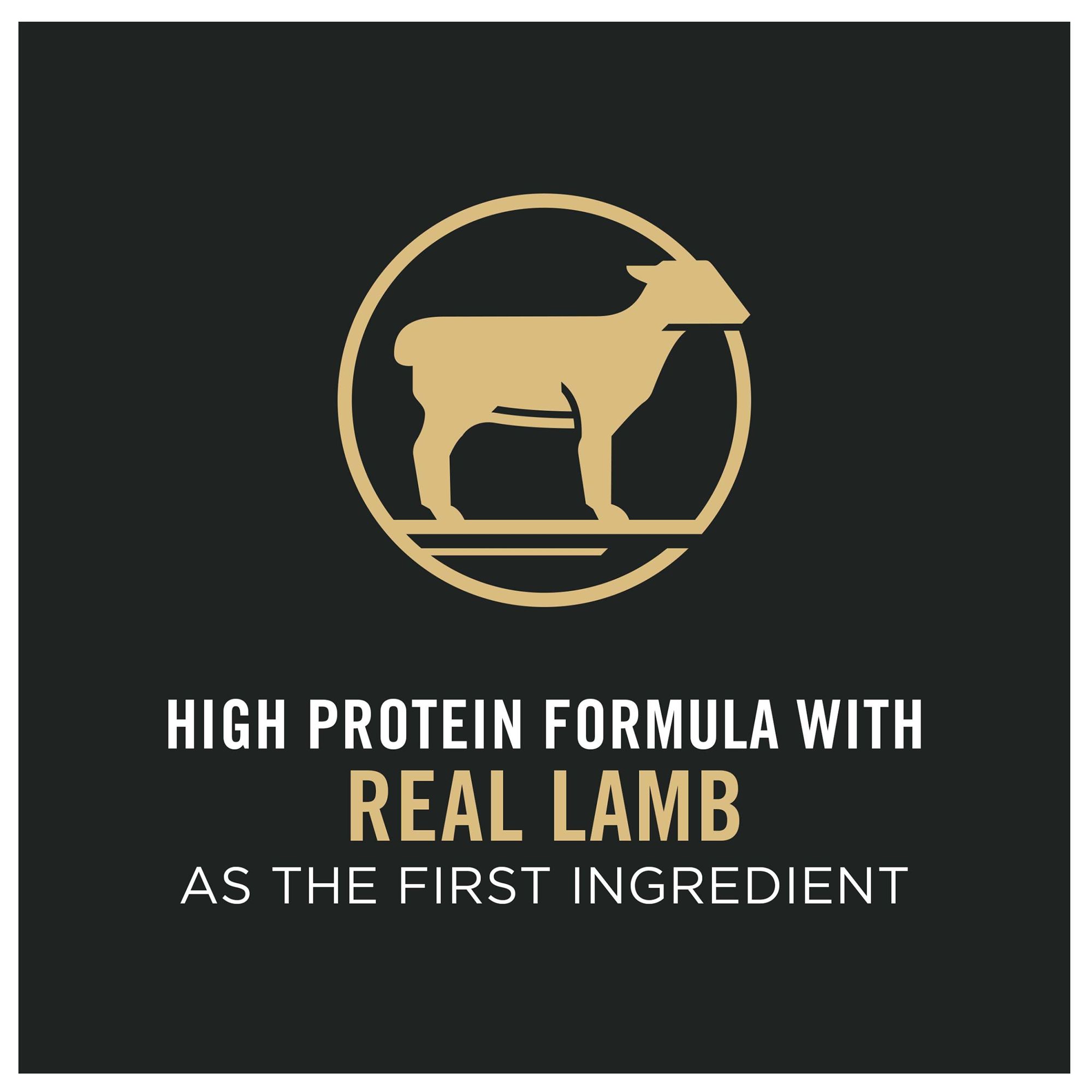 petsmart purina pro plan lamb and rice
