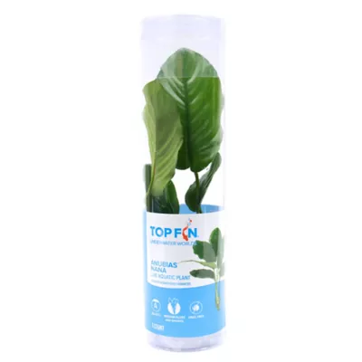 Product Top Fin® Anubias