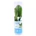 Top Fin® Anubias Live Plant image thumbnail 1
