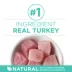 Purina® ONE® +Plus Sensitive Skin & Sensitive Stomach Adult Cat Dry Food - Turkey image thumbnail 4