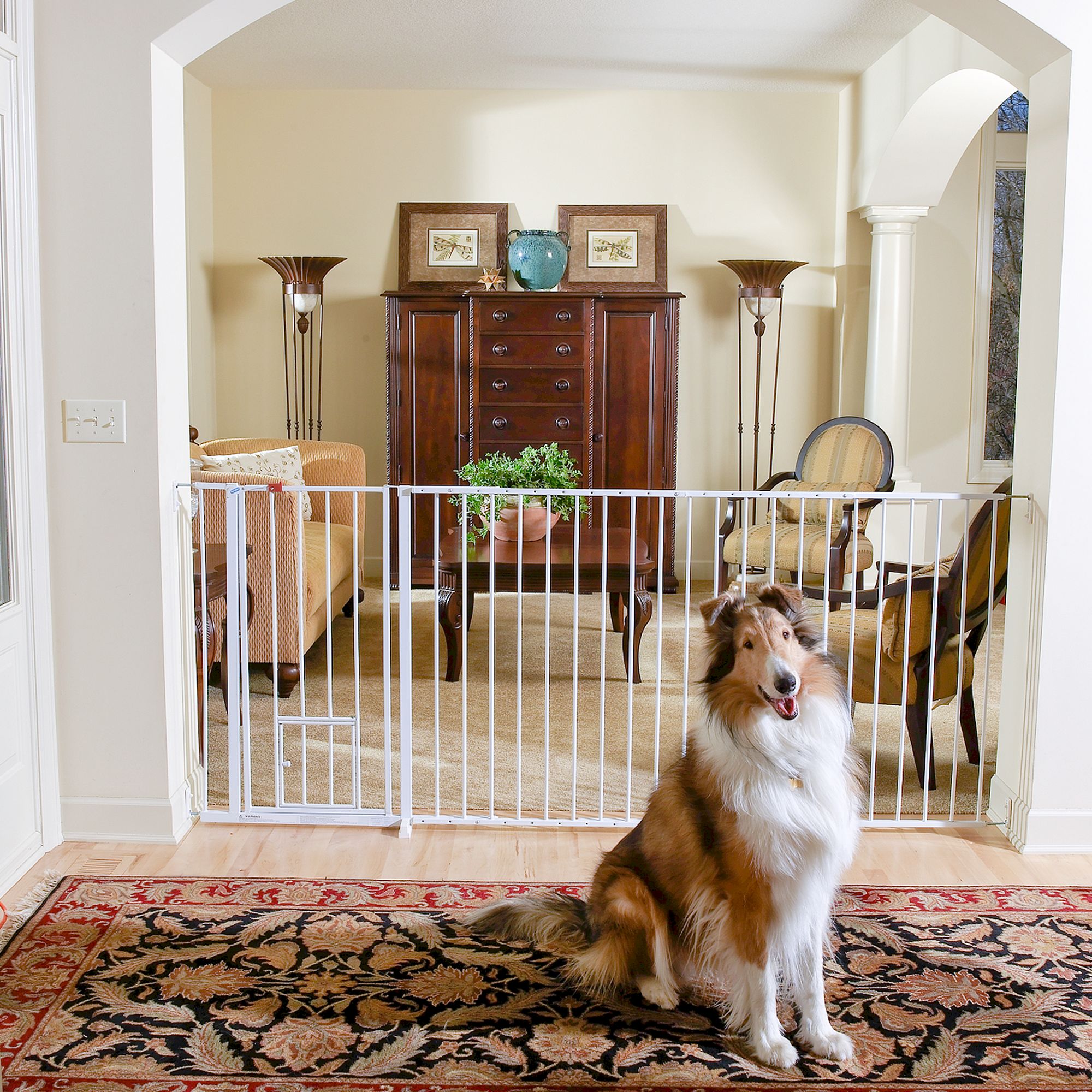 carlson baby gate with pet door