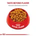Royal Canin Feline Adult Dry Cat Food Care Nutrition, Digestive Care image thumbnail 2