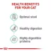Royal Canin Feline Adult Dry Cat Food Care Nutrition, Digestive Care image thumbnail 3