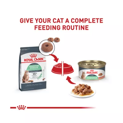 Product Royal Canin(R) Feline Health Nutrition Digestive Care Dry Cat Food