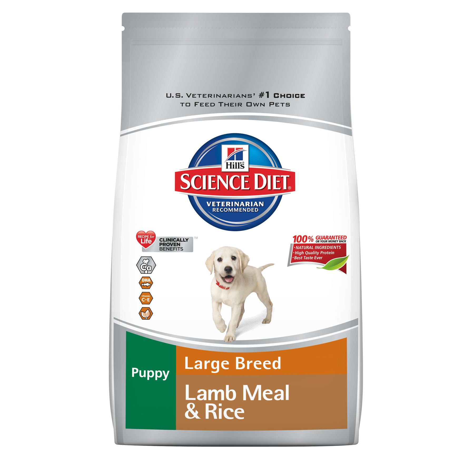 Lamb large outlet breed puppy food